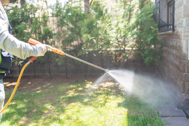 Wasp Removal Services in Farmers Branch, TX